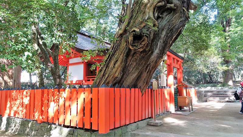 f:id:boianuf:20201004104315j:plain