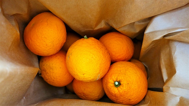 f:id:boianuf:20201222144405j:plain