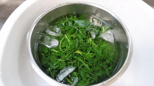 f:id:boianuf:20210415170728j:plain