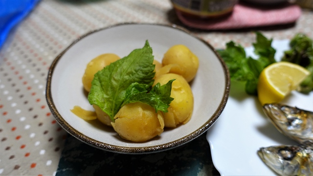 f:id:boianuf:20210529144625j:plain