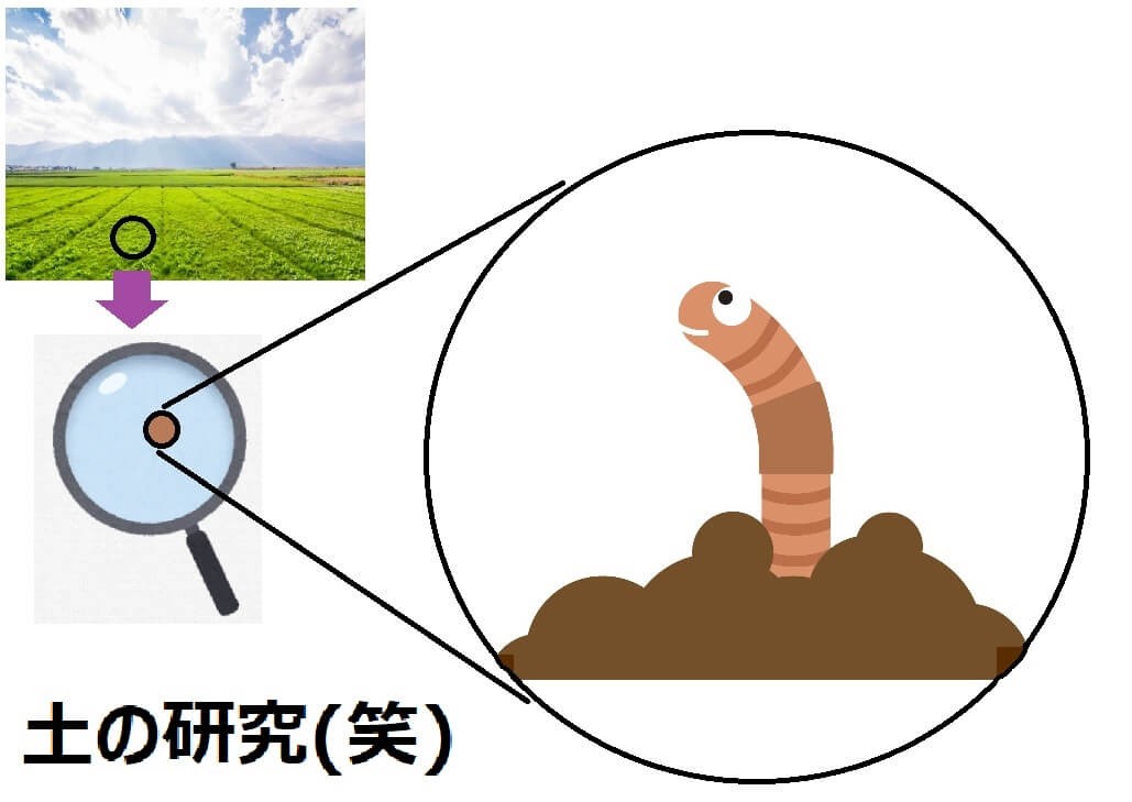 f:id:bojisowaka:20200612203807j:plain f:id:bojisowaka:20200612203807j:plain