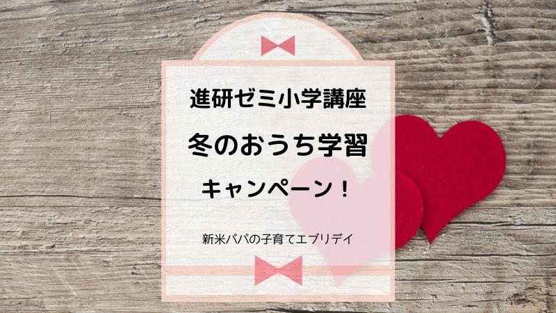 1月号1か月だけの受講もOK!】進研ゼミ小学講座で、冬のおうち 1月号1か月だけの受講もOK!】進研ゼミ小学講座で、冬のおうち