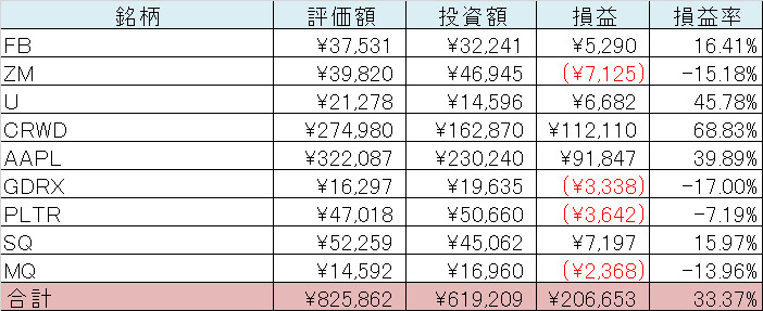 米国株　ポートフォリオ