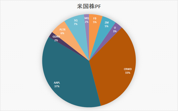 米国株　ポートフォリオ