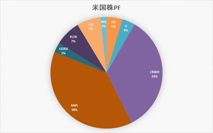 米国株　ポートフォリオ