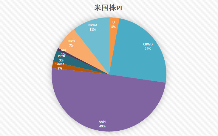米国株 ポートフォリオ