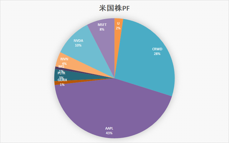 米国株 ポートフォリオ