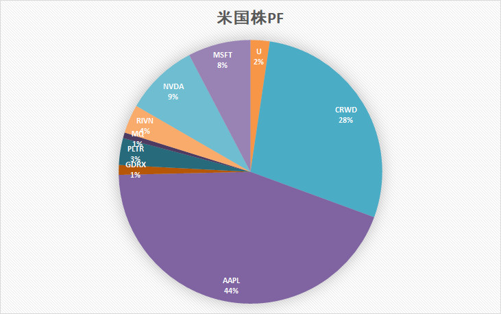 米国株　ポートフォリオ　投資