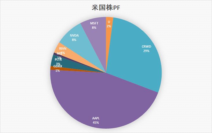 米国株　ポートフォリオ