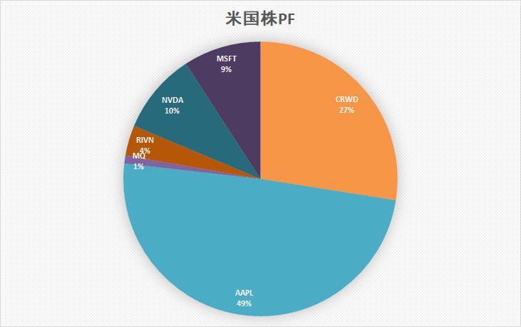 米国株　ポートフォリオ