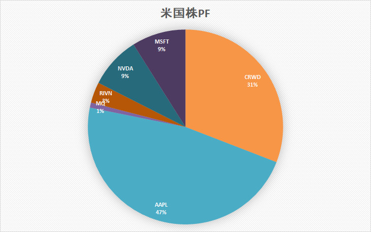 米国株　ポートフォリオ　米株