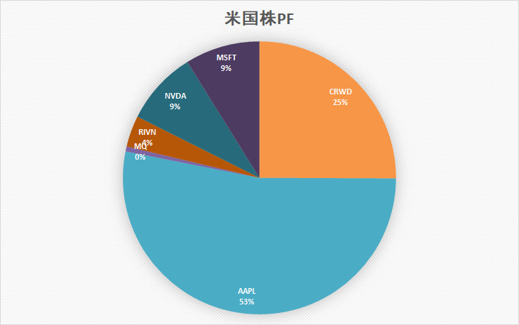 ポートフォリオ　米国株