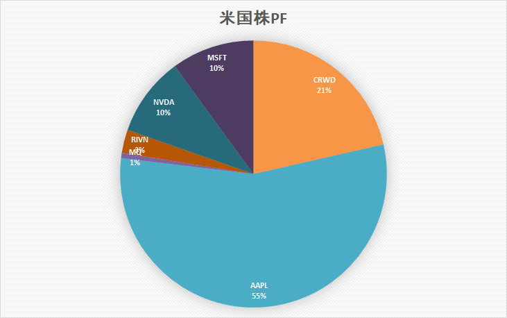 米国株　ポートフォリオ