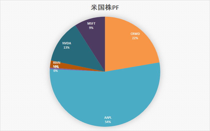 米国株 ポートフォリオ