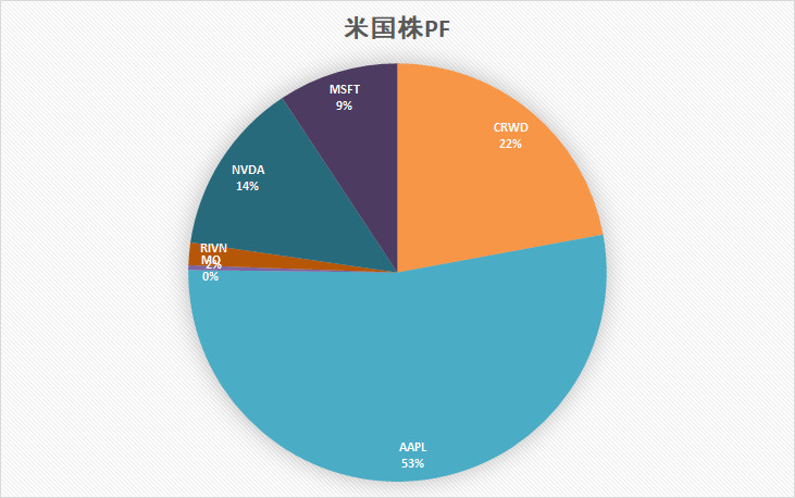 米国株　ポートフォリオ