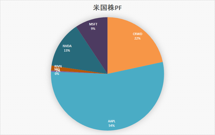 米国株　ポートフォリオ