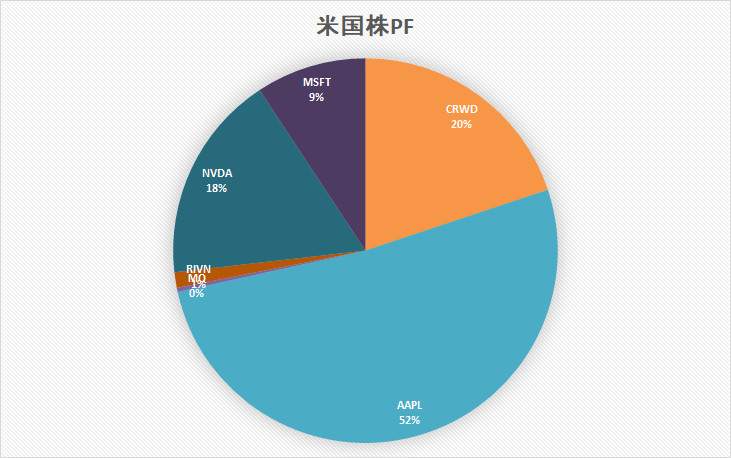 米国株　ポートフォリオ