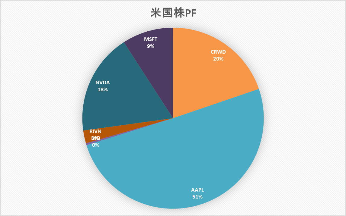 米国株 ポートフォリオ