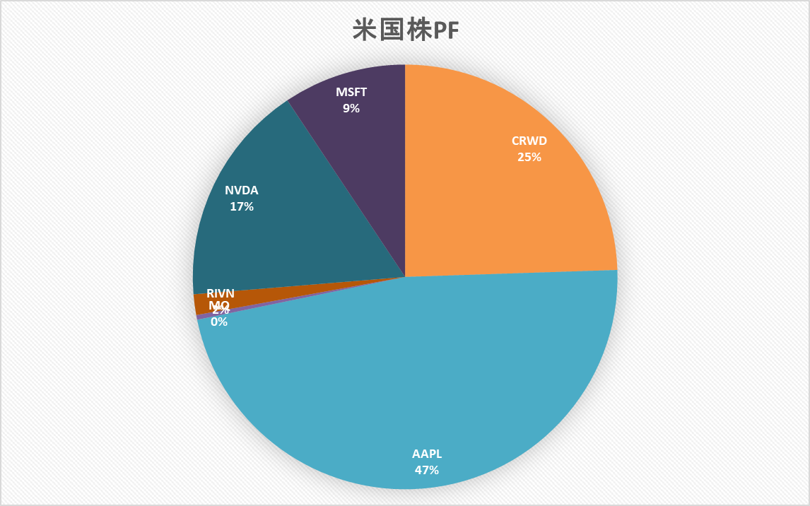 米国株　ポートフォリオ　資産形成