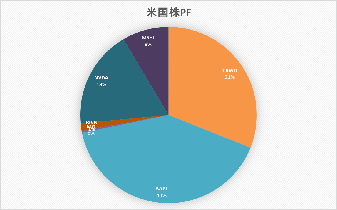 米国株　ポートフォリオ　資産形成