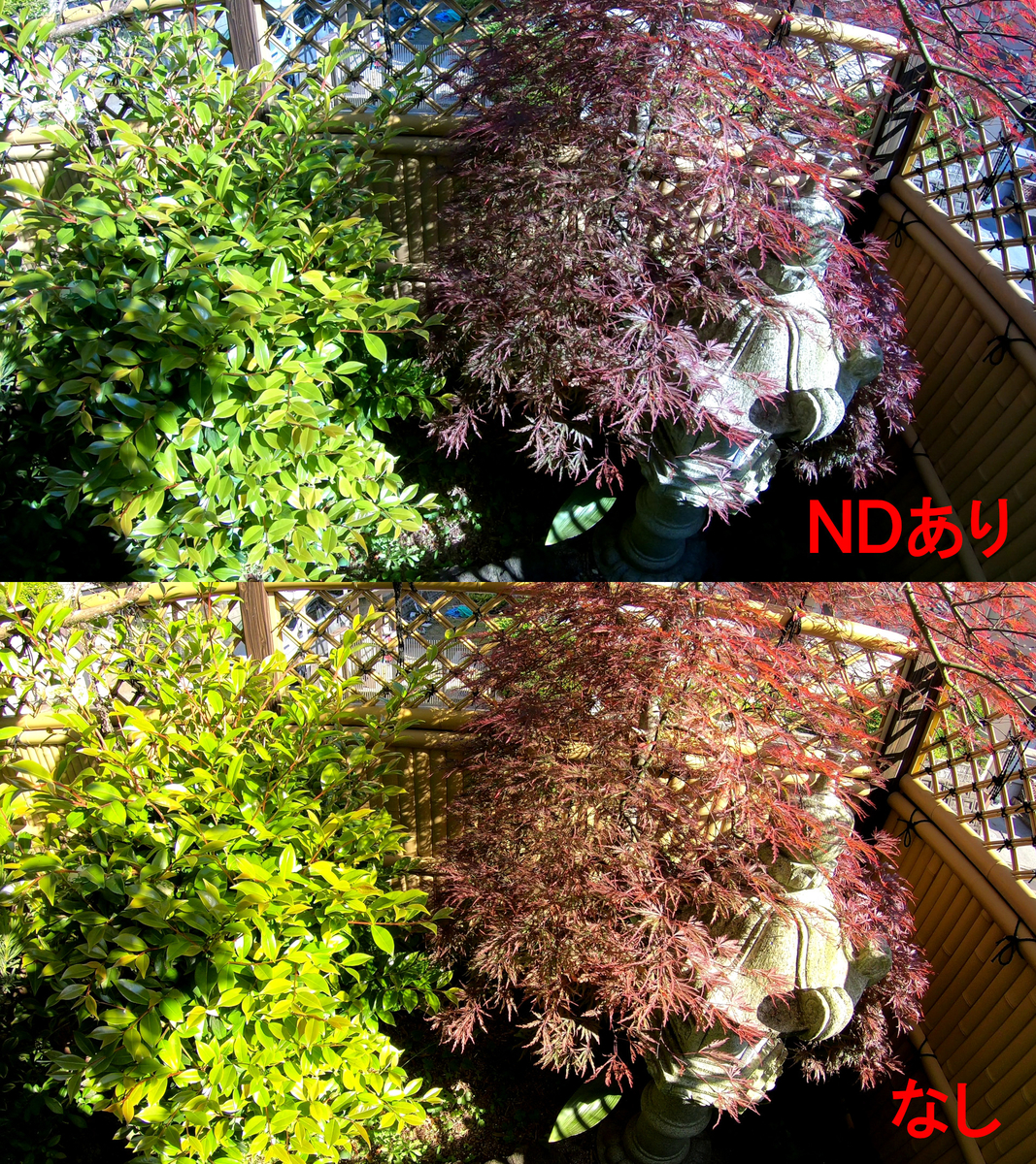 f:id:boku-neko:20190507195926j:plain f:id:boku-neko:20190507195926j:plain