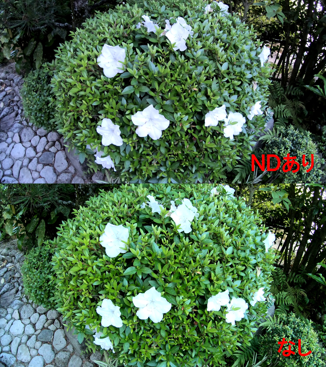 f:id:boku-neko:20190507195941j:plain f:id:boku-neko:20190507195941j:plain