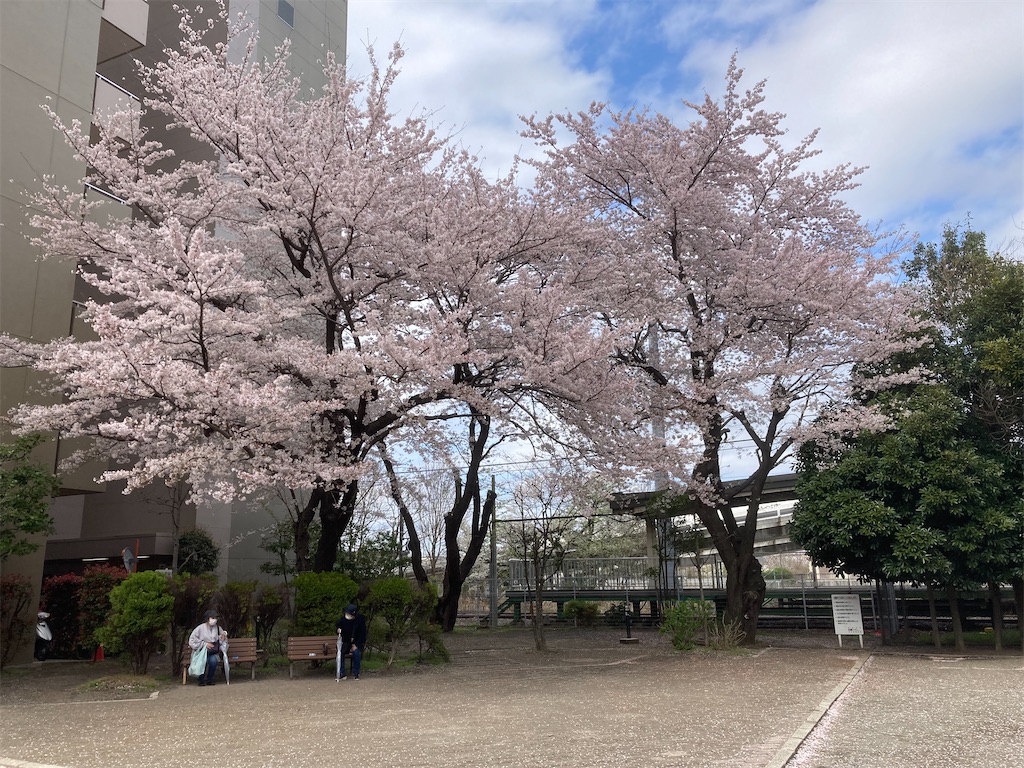 f:id:boku7:20230415131524j:image