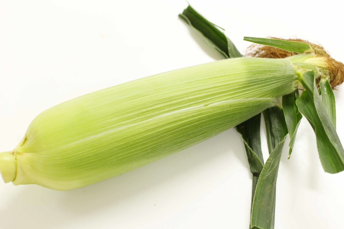 f:id:boku_5656:20210816024815j:plain