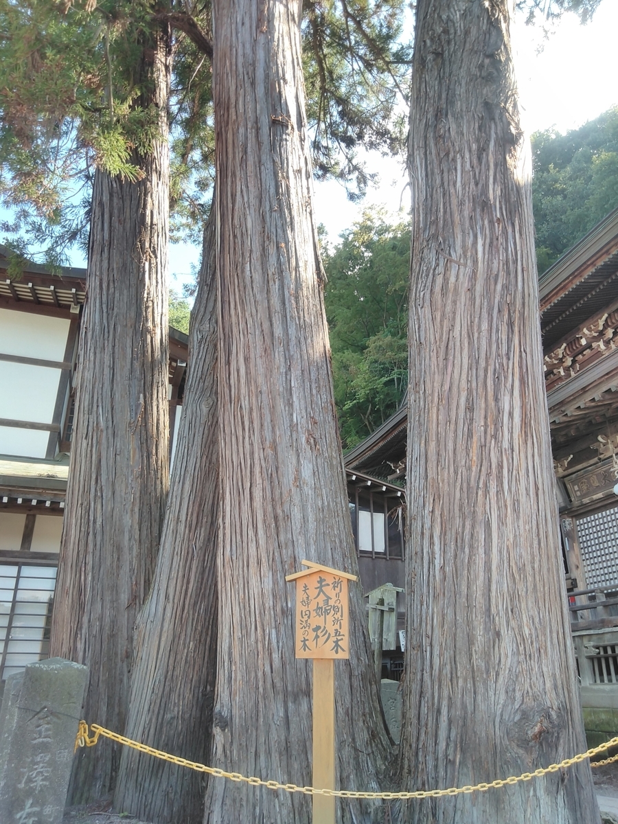 f:id:bokubonn:20190920113638j:plain