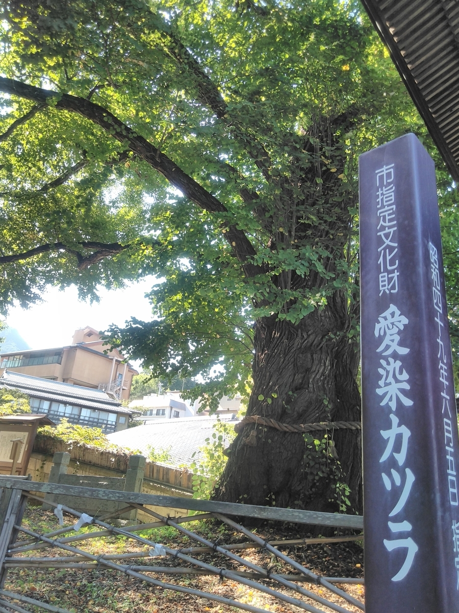 f:id:bokubonn:20190920113802j:plain