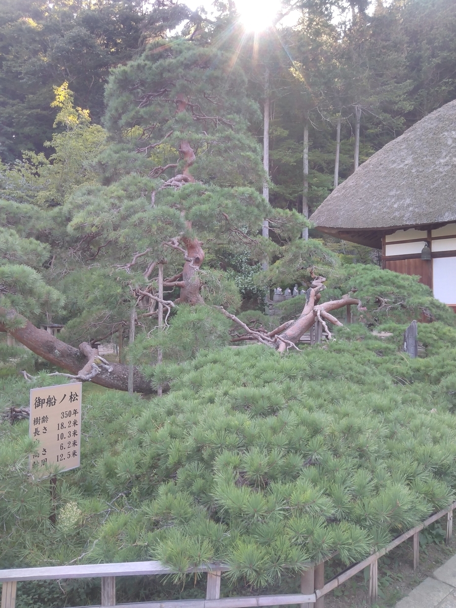 f:id:bokubonn:20190924113319j:plain