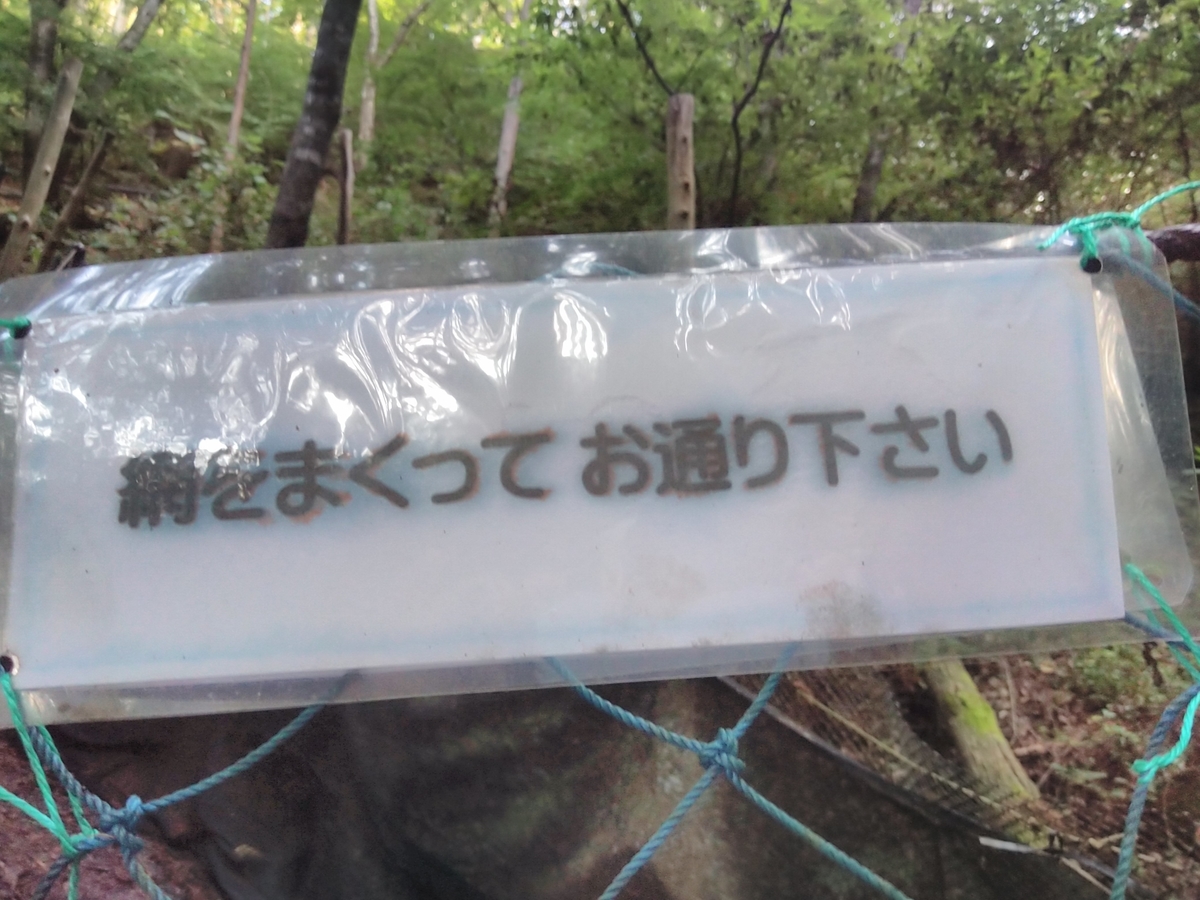 f:id:bokubonn:20191019110944j:plain