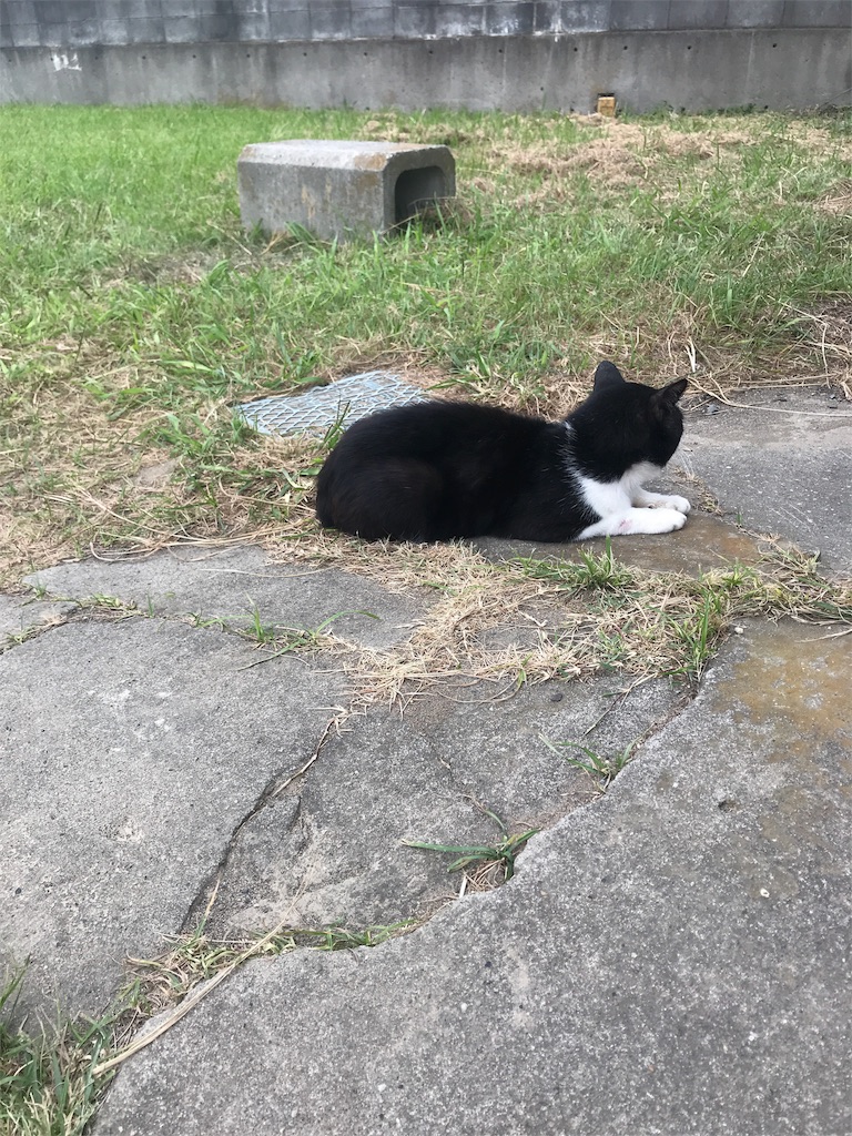 f:id:bokuhadamedana:20190928150237j:image