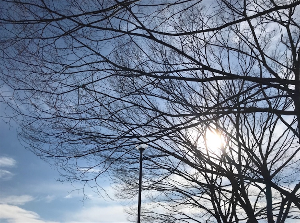 f:id:bokunokiroku:20190126151153j:image