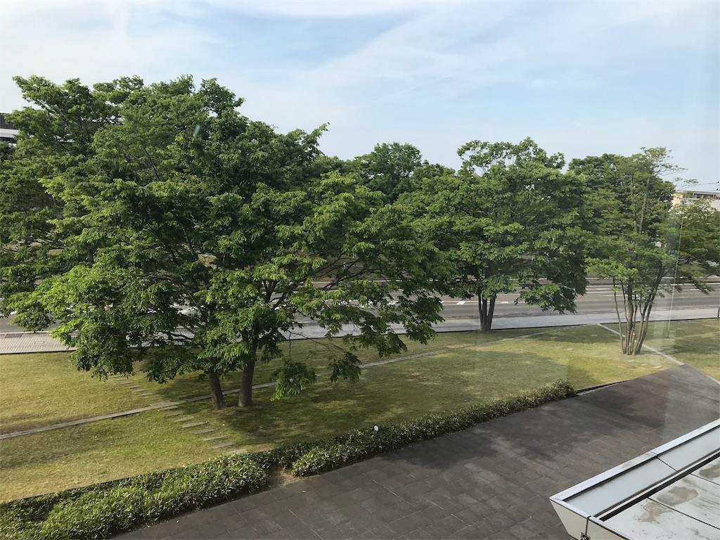 f:id:bokunokiroku:20190529064352j:image