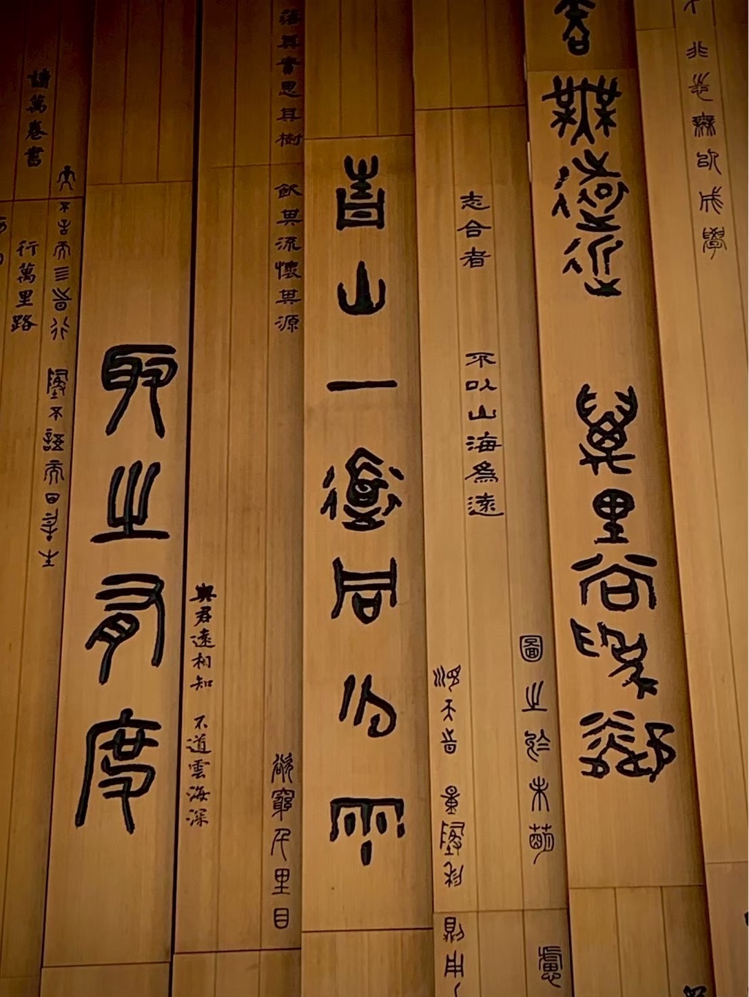 f:id:bokunozukan:20251117195923j:image