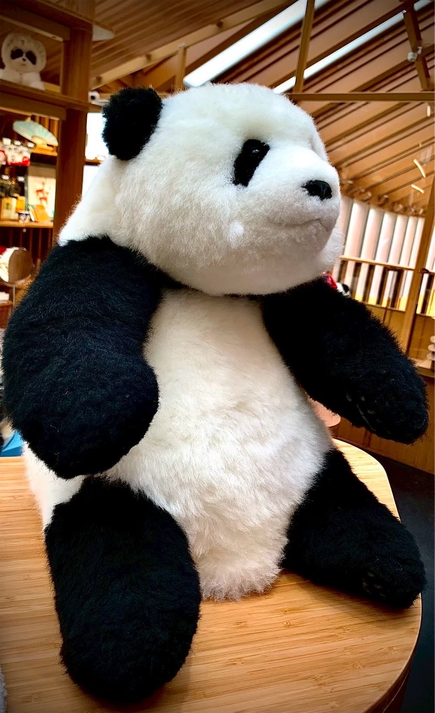 f:id:bokunozukan:20251117200317j:image