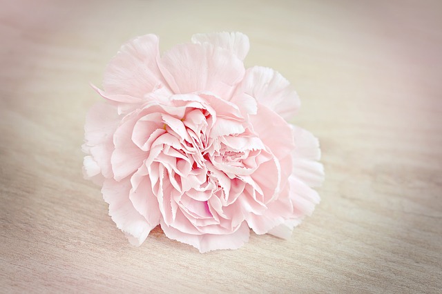 f:id:bokushiblog:20190512191923j:plain f:id:bokushiblog:20190512191923j:plain