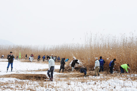 f:id:bokushita:20110213104704j:image:left f:id:bokushita:20110213104704j:image:left