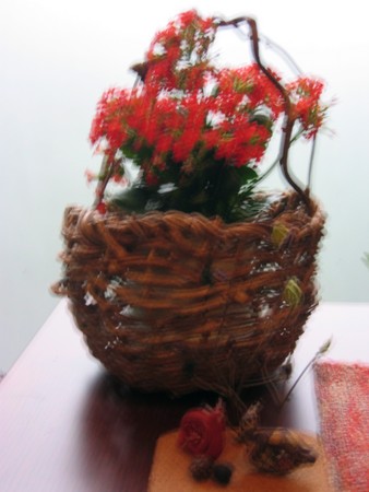 f:id:bokusian:20060529182629j:image f:id:bokusian:20060529182629j:image