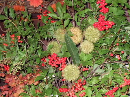 f:id:bokusian:20070920113900j:image