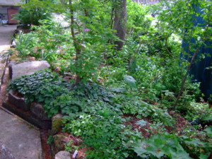 f:id:bokusian:20090511124248j:image