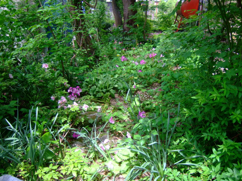 f:id:bokusian:20090511124355j:image