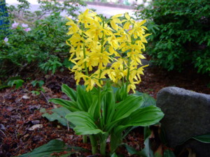 f:id:bokusian:20090511124436j:image