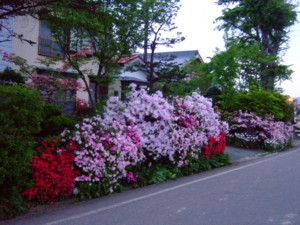 f:id:bokusian:20090511182503j:image