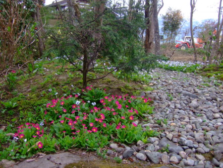 f:id:bokusian:20120430054521j:image:left