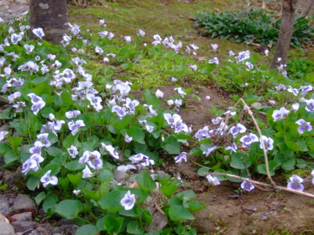 f:id:bokusian:20120430054541j:image