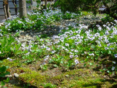 f:id:bokusian:20120501084254j:image