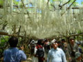 20120507121744