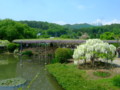 20120507122322